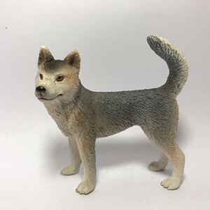 思乐schleich 绝版动物模型 16372 哈士奇 爱斯基摩犬 狗 正品