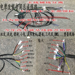 电摩 福喜 战速 鬼二 小龟骠骑 电动车6平10平 改装线路总成 主线