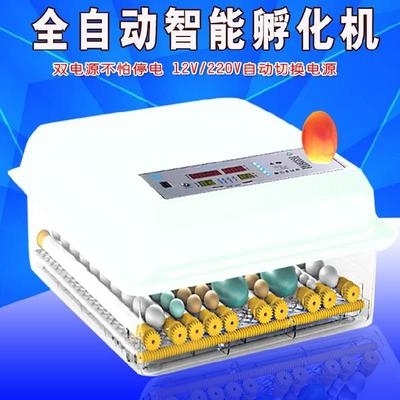 家庭版小型孵化器