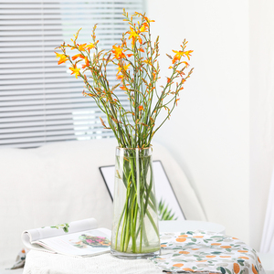 当季花材火焰兰鲜花家用插花卉辅材云南昆明基地直发家用插花花束
