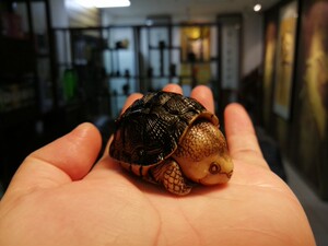 大头草龟鹿角根付夜叉五倍子染色植物染古法染色根付染料