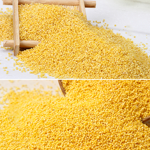 山西特产长治沁县营养新小米优质沁州黄小米5斤袋装孕妇月子食用