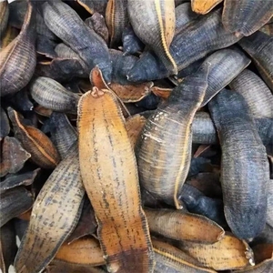 炙水蛭中药材熟水蛭制水至蚂蝗炒水蛭烫水蛭干100g克新货包邮