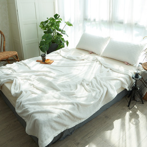 出口紫貂绒毛毯床单珊瑚绒毯子冬季加厚保暖纯色法兰绒空调毯白色