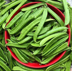 湖南宁乡本地新鲜刀豆嫩现摘现发青刀把豆角农家蔬菜当季剁椒特产