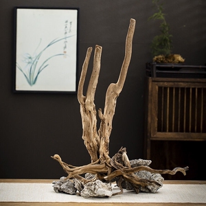 造景缸树根精品沉木鱼缸造景老树桩造型杜鹃木生命之树莫斯树草缸