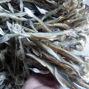 温州特产龙头鱼干渔家自晒野生干货水潺干豆腐鱼小九肚鱼海鲜500g