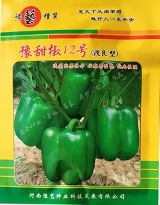 辣椒种子 豫艺种业 豫甜椒12号 圆椒 甜椒 方椒 中厚皮