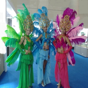 巴西狂欢节服装