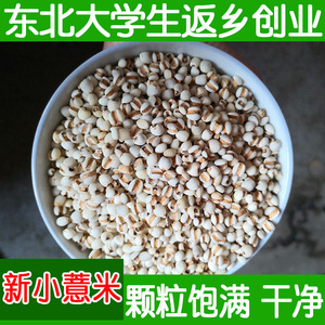 新鲜货小薏米农家薏米仁薏仁米苡仁五谷粗杂粮500g散装可炒熟
