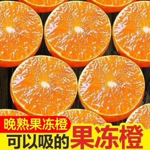 四川青见果冻橙青见柑橘新鲜水果橘子2/3/5/8/10斤包邮整箱桔子