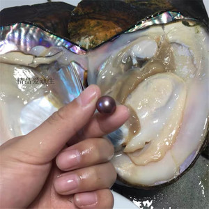 现场开蚌取珍珠直播间