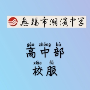 无锡湖滨中学 高中部校服