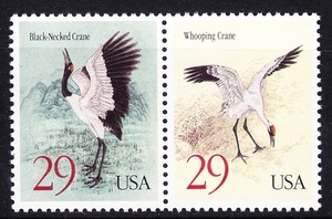 美国邮票 1994年与中国联发:丹顶鹤 2连 新