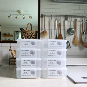 日本SANADA可直立保鲜盒冰箱冷冻食材储存盒透明长方形厨房收纳