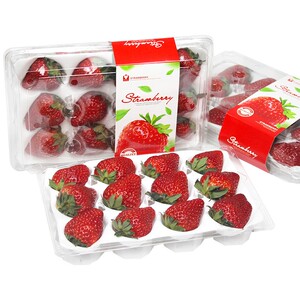 顺丰空运3斤礼盒装四川99巧克力冬草莓大果现摘新鲜水果孕妇特产