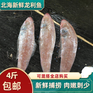【鲜活龙舌鱼】鲜活龙舌鱼品牌,价格 - 阿里巴巴