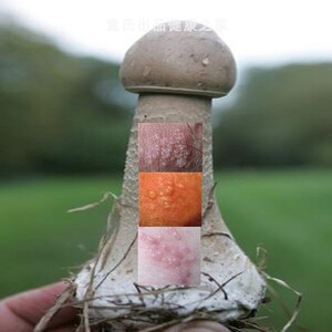 鸡鸡痒屁眼痒毛毛红皮肤止痒霜起红疙瘩身上屁眼男人下身蛋蛋痒