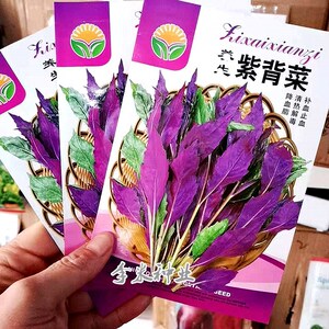 【冬葵菜】冬葵菜品牌,价格 - 阿里巴巴