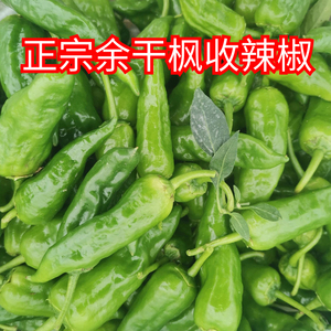 余干辣椒
