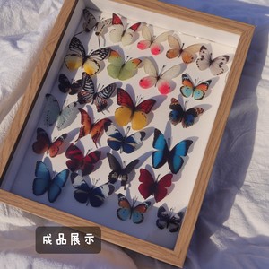 热缩片打印蝴蝶不是标本1——55手工DIY饰品发夹发簪配件材料