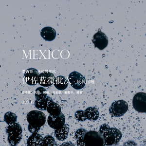 咖啡豆下单烘焙 墨西哥Mexico圣徒阿里欧伊佐蓝微批次 精品豆227g