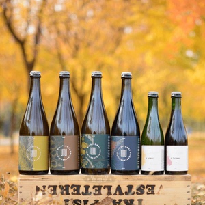 澳大利亚 岸花 wild flower 野菌酸艾尔 精酿啤酒