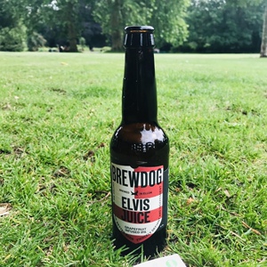 惠同学 酿酒狗 猫王 啤酒330ml 埃尔维斯  ipa brewdog elvis