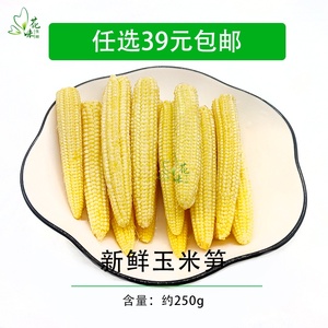 新鲜玉米笋 250g 小号番麦笋玉米芯迷你玉米笋水果玉米蔬菜小玉米