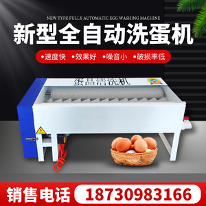 全自动养殖场小型洗蛋机蛋品清洗机鸡蛋鸭蛋鹅蛋松花蛋清洗机器
