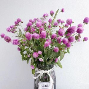 千日红鲜花家庭插花客厅桌面室内装饰摆件云南昆明基地直发包邮