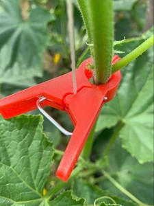 西红柿黄瓜夹子吊落秧夹吊绑蔓大棚温室蔬菜青辣椒番茄西葫芦夹子