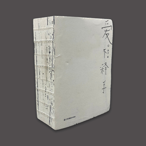 爱不释手2015中国美的书设计书籍洪卫