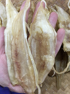 东海温州洞头特产/海产品干货/鮸鱼胶 护肤滋补250克1份30条左右