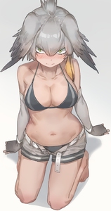 兽娘动物园 动物朋友 海报 挂画 壁纸 鲸头鹳 067