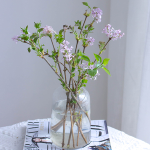 国产丁香花鲜花直批紫色家用水养瓶插花鲜切花时令花真花节日顺丰