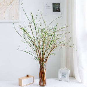 雪柳鲜花鲜切花垂感枝条形家用办公用花节日顺丰直批水养插花年宵