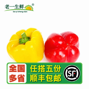 【老一生鲜】新鲜彩椒圆椒红黄彩椒灯笼椒甜圆椒沙拉蔬菜 500g