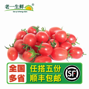【老一生鲜】 新鲜圣女果500g 千禧小番茄樱桃迷你小番茄