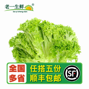 【老一生鲜】新鲜花叶生菜500g绿萝莎散叶西餐沙拉罗莎绿生菜