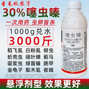 30噻虫嗪螓水稻飞虱梨木虱花卉小麦蚜虫蓟马专用农药杀虫剂塞虫嗪