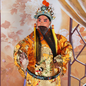 京剧戏曲演出大龙蟒袍豫剧服装古装皇帝皇上手绣龙袍全金大龙黄蟒