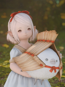 ff14 最终幻想 宠物 沙狐 蓝闪蝶 猫小胖 豆豆柴 海豹 银山雀 宠