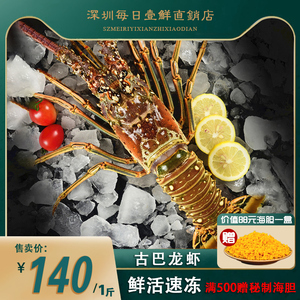 特大古巴龙虾鲜活冷冻巴西超大龙虾小蜜蜂红龙火龙海鲜水产一只装