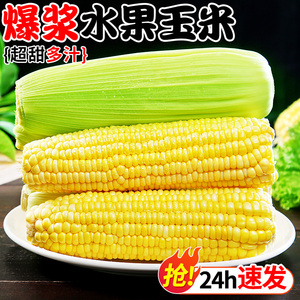 【24小时发货】新鲜现摘水果玉米生吃爆浆棒子嫰苞米带皮水果玉米