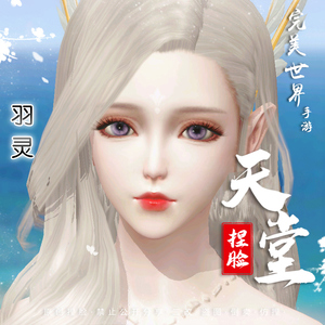 完美世界手游2.0新版捏脸代码 2021新版 羽族羽灵女 05