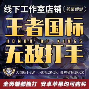 线下工作室王者送荣耀代练上分排位巅峰赛战力省标大小国标小魔方