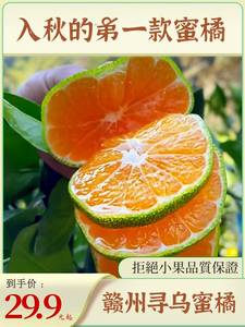 寻乌蜜桔新鲜无籽青皮桔子孕妇水果5斤 青橘子10江西赣州早熟蜜橘