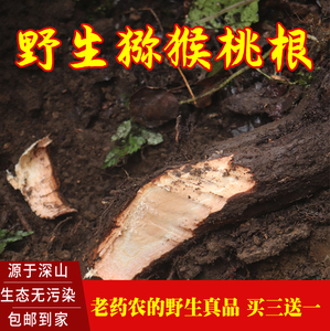 深山自然野生猕猴桃根养生泡茶水干藤梨根中药材泡酒洋桃根包邮