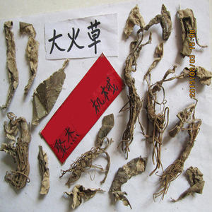 000人付款天猫古今润方大火草根大伙草根 广西产大火草 大火草根白地